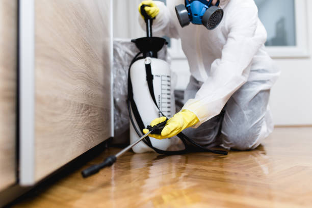 Professional Pest Control in Graymoor Devondale, KY