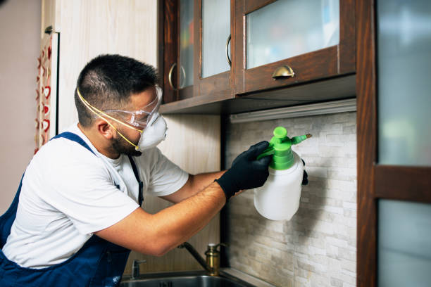 Best Pest Prevention Services  in Graymoor Devondale, KY