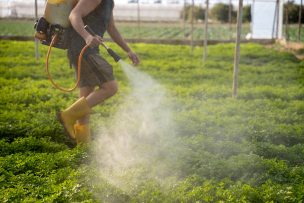 Best Ant Control Services  in Graymoor Devondale, KY