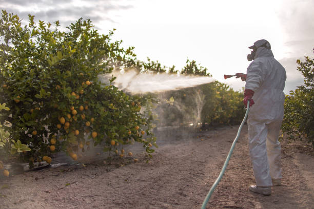 Best Emergency Pest Control  in Graymoor Devondale, KY