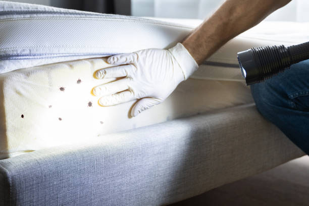 Best Residential Pest Control  in Graymoor Devondale, KY