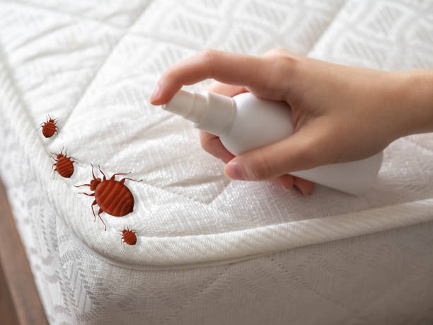 Best Cockroach Control Services  in Graymoor Devondale, KY