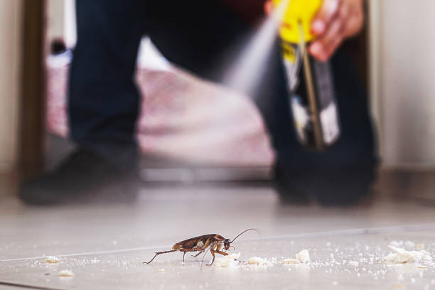 Best Insect Control  in Graymoor Devondale, KY