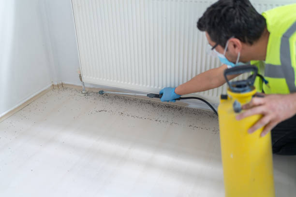Best Local Pest Control Services  in Graymoor Devondale, KY