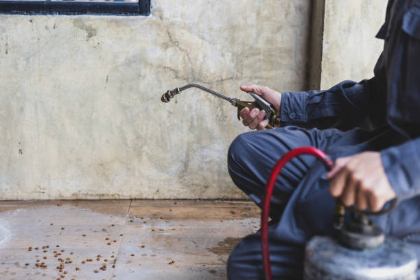 Best Affordable Pest Control Services  in Graymoor Devondale, KY